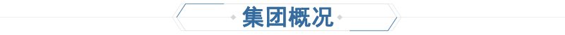 丙烯酸底漆（qī）(圖15)